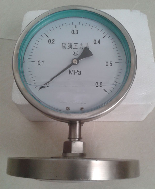 YMN系列隔膜式耐振压力表
