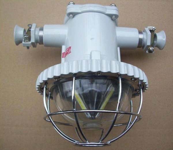 DGS20-30/127L矿用隔爆型LED巷道灯