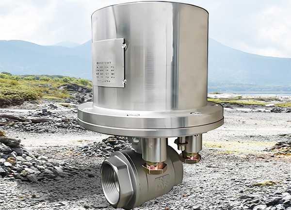 DN50煤矿用隔爆型电动球阀