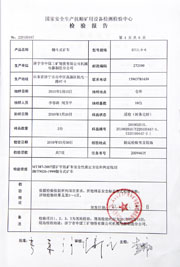 国家级检验报告