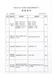 国家级检验报告