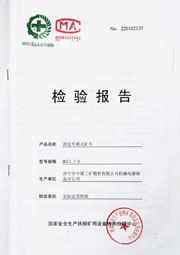 国家级检验报告