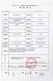 国家级检验报告