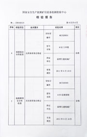 国家级检验报告