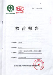 国家级检验报告