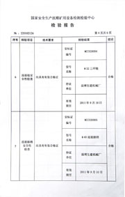 国家级检验报告