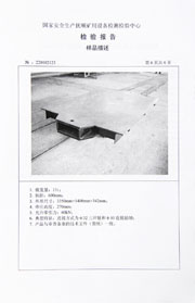 国家级检验报告