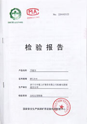 国家级检验报告