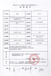 国家级检验报告