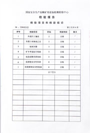 国家级检验报告