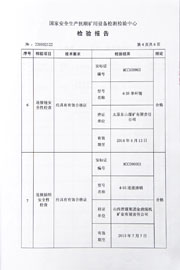 国家级检验报告