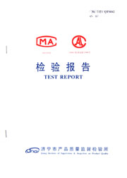 市级检验报告