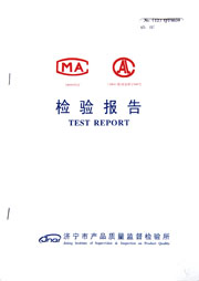市级检验报告