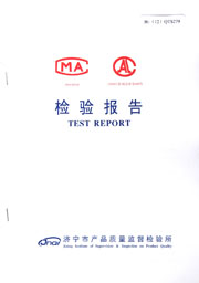 市级检验报告