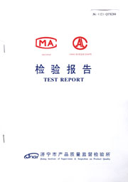 市级检验报告