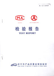 市级检验报告