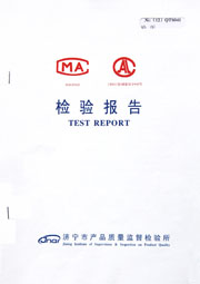市级检验报告