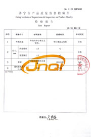 市级检验报告