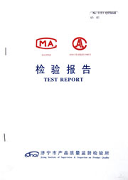 市级检验报告