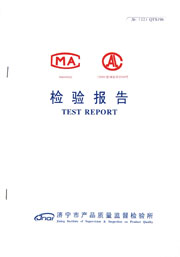 市级检验报告