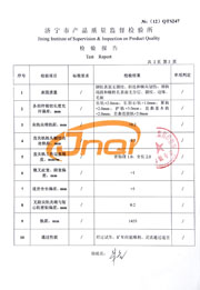 市级检验报告