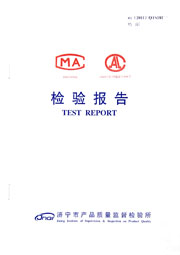 市级检验报告