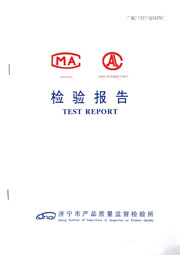 市级检验报告