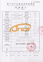 市级检验报告