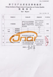 市级检验报告
