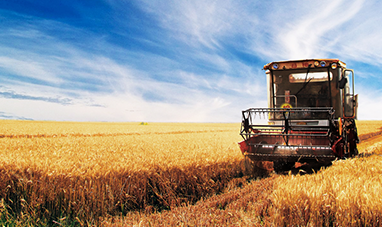 山东唯信农业科技有限公司