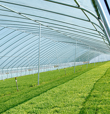 09小型挖掘机农业种植