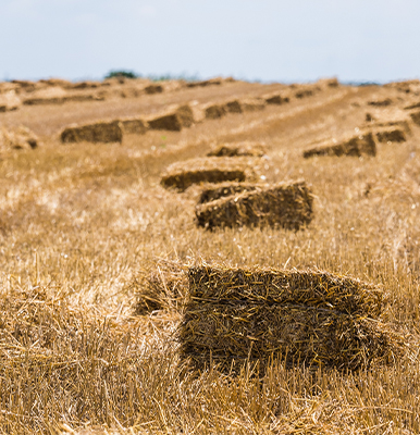 09小型挖掘机农场物资搬运