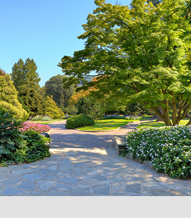 25小型挖掘机园林绿化