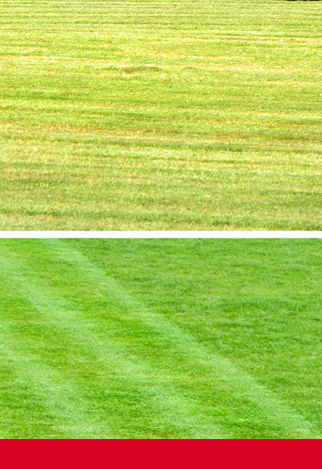 割草效果立竿见影