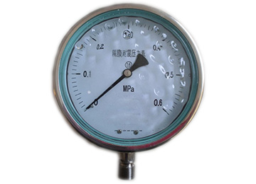 隔膜式耐震压力表