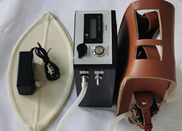 CFZ22气体自动负压式采样器