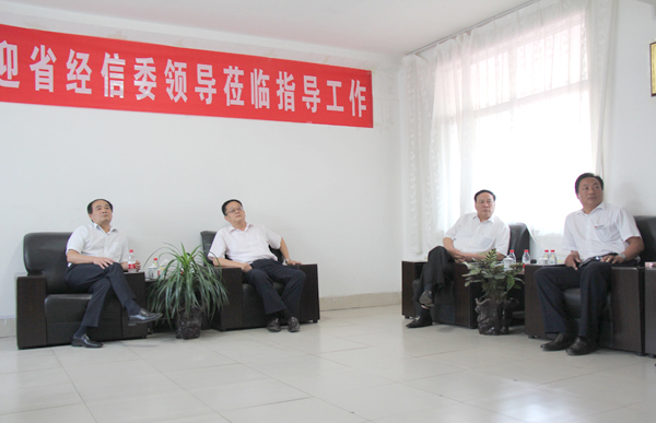 /省经信委领导莅临山东中煤考察/