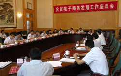 山东省召开全省电子商务发展工作座谈会