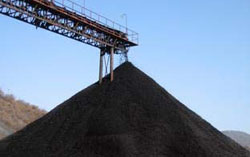 2014年煤炭以“跌势”开局