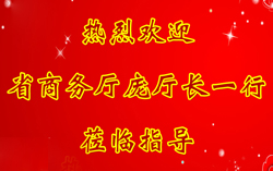 热烈欢迎省商务厅庞魁霞副厅长一行莅临中煤集团考察