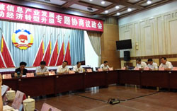 中煤集团应邀参加“突破信息产业发展 推动经济转型升级”专题议政会