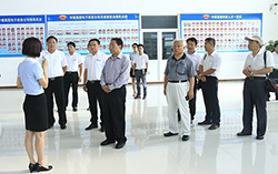 热烈欢迎原外交部副部长吉佩定等领导一行莅临集团视察