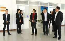 热烈欢迎济宁妇联领导再次莅临集团作重点调研