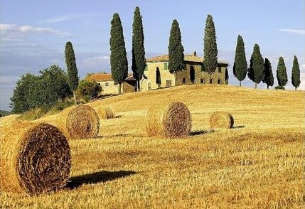 我国主要农作物秸秆综合利用率超过80% 