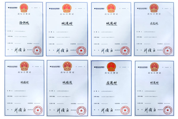 热烈祝贺山东唯信农业科技有限公司“城通村”等12个商标成功注册
