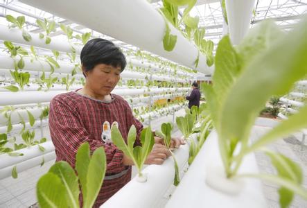 “互联网+现代农业”到底要加什么？