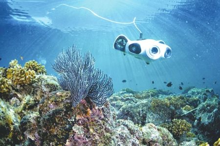 从“红海”到“蓝海” 水下无人机不只是幸运儿