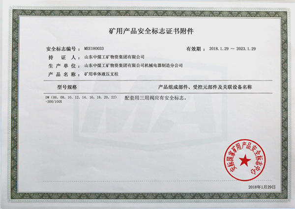 DW22-300/100X单体液压支柱